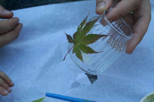 Decoupage candle holders with leaves.